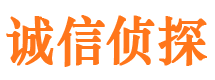 通榆市侦探调查公司